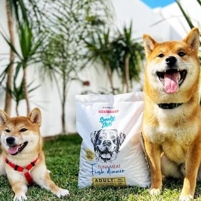 Croquette Premium Chien adulte