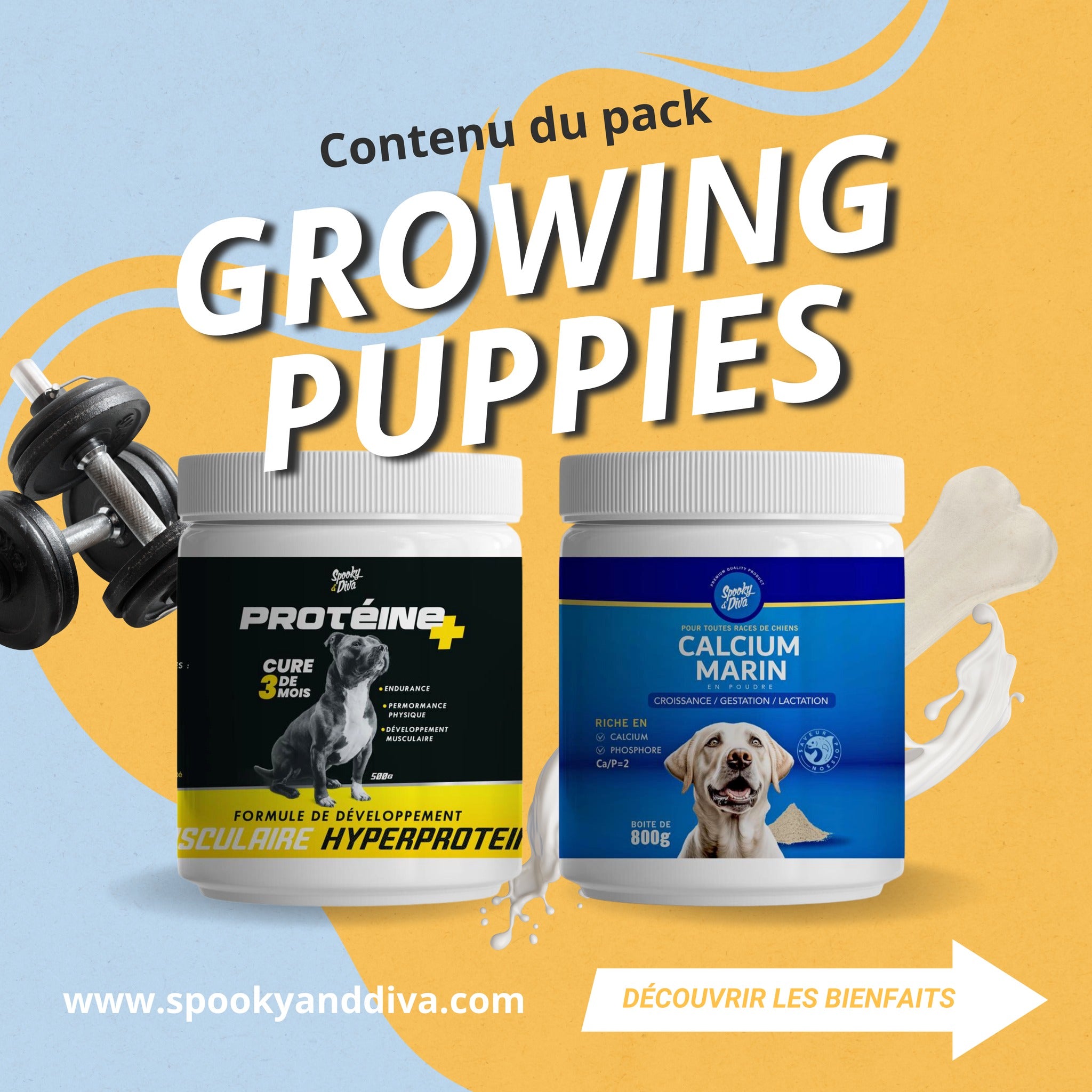 Pack Chiot