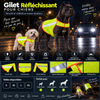 Gilet Réfléchissant pour Chien – Haute Visibilité & Sécurité Nocturne