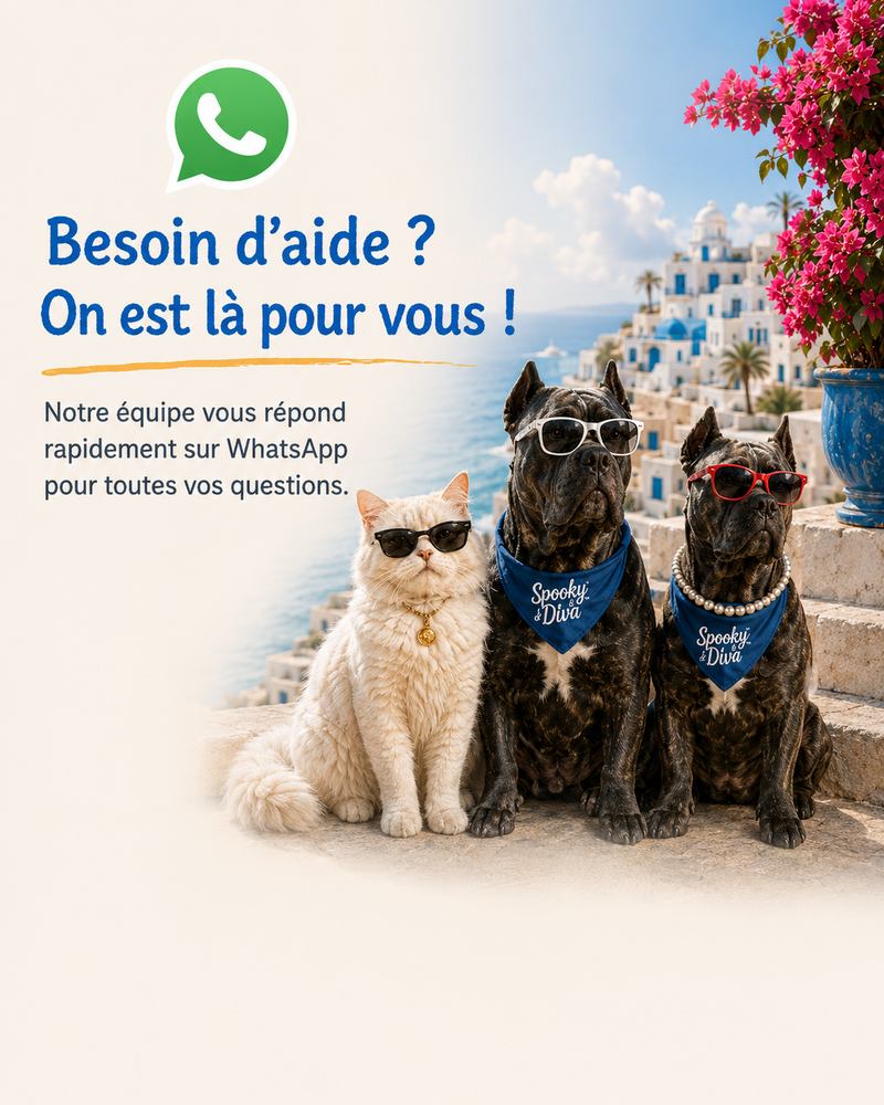 WhatsApp support banner