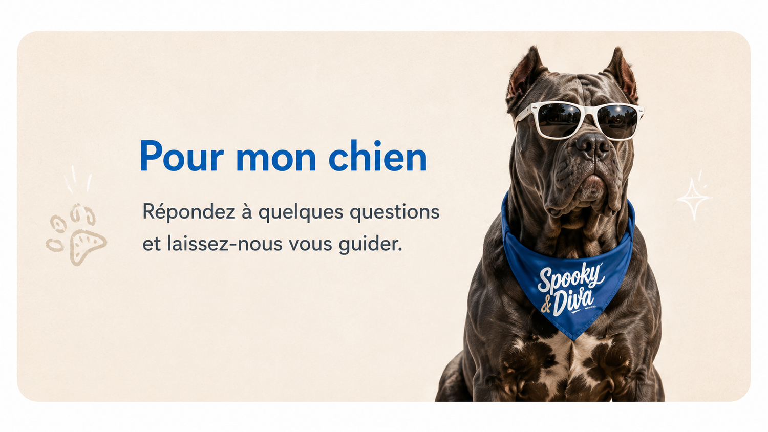 Dog image