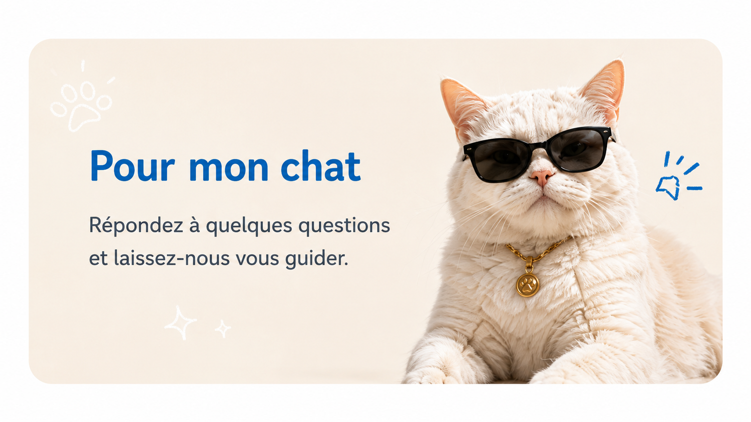 Cat image