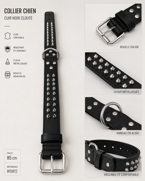 Collier pour chien 85 cm