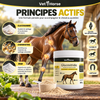 Glucostride – Advanced Joint Support pour Chevaux | 800 g