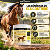 Glucostride – Advanced Joint Support pour Chevaux | 800 g