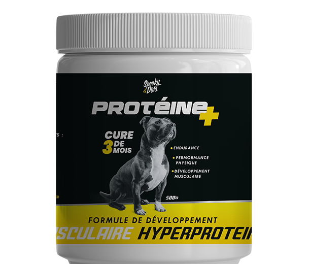 Protéine + 500 Gr