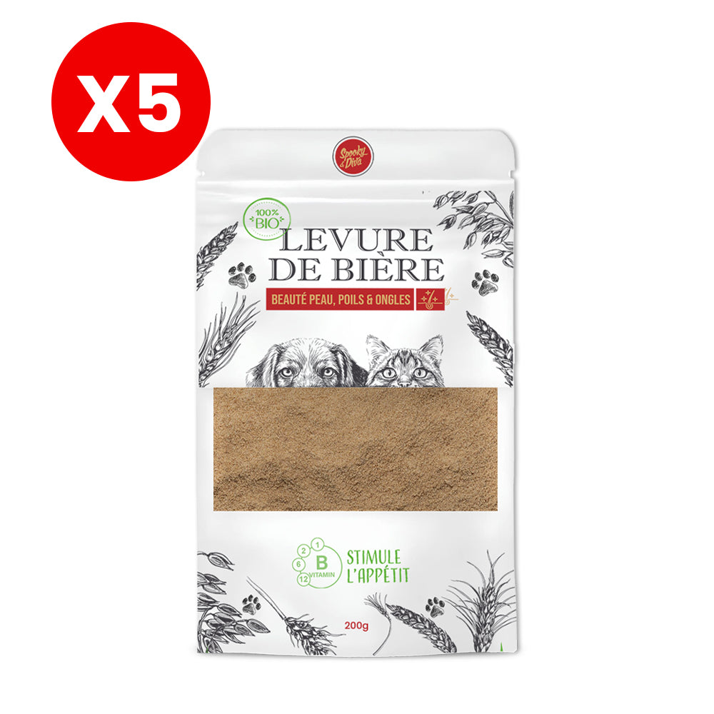 Levure de Biére 1Kg