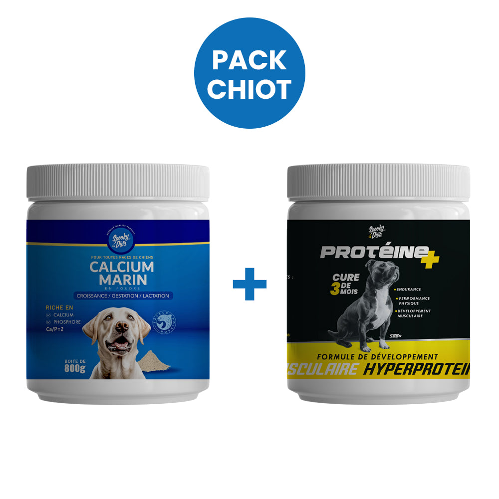 Pack Chiot