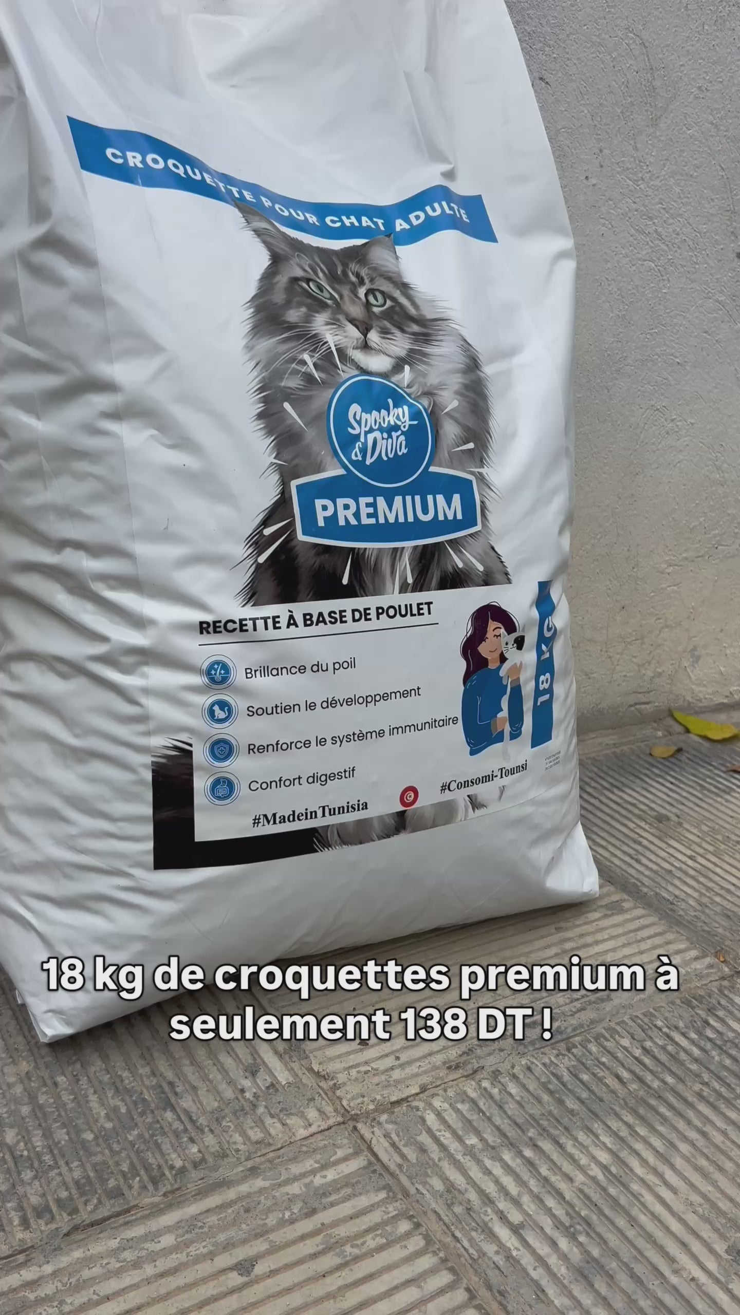 Croquettes pour chat adulte