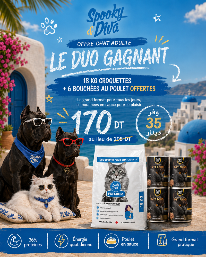 Promotional campaign